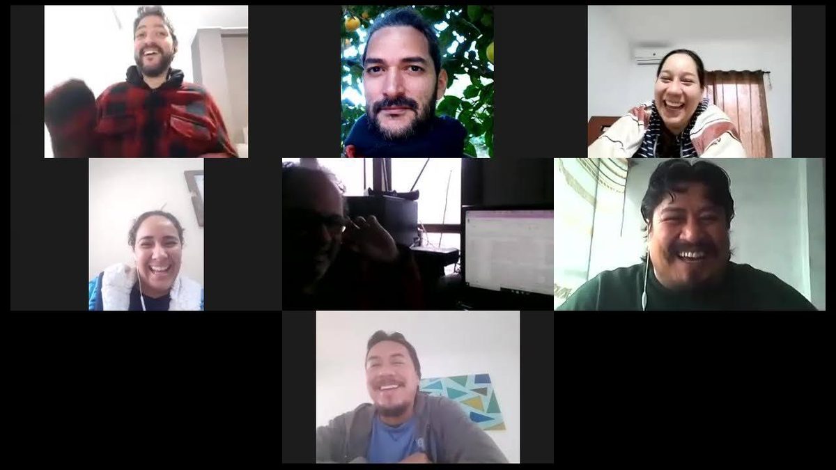 Videollamada del equipo de la Línea Abierta Vecinal trabajando de forma remota durante la pandemia